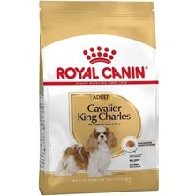 Royal Canin Cavalier King Charles Köpek Maması 3 kg Yetişkinler İçin Karışık Tatlı Besin