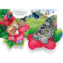 Esplendor Store Pop-Up Butterflies