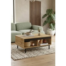 Robin Home Ares Orta Sehpa Metal Ayaklı Keçe-Siyah