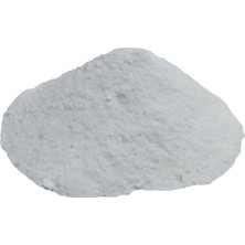 Lokman Salça Domates Turşu Koruyucu Toz Salisilik Asit 100 gr Doğal İçerik ile Üretilmiştir