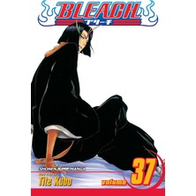 Esplendor Store Bleach, Vol. 37: Beauty Is So Solitary