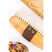 Esplendor Store Doğal At, Kılı, Selilüt, Fırçası