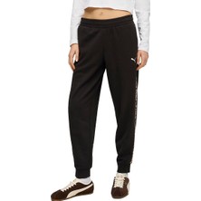 Puma Essential Graphic Animal Kadın Siyah Günlük Stil Eşofman Altı 69246401