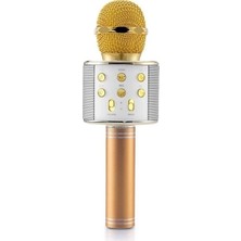Hand Bt Karaoke Mikrofon-Gold