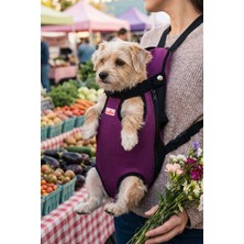 GOBYPET Kedi ve Köpekler Için Anakucağı S 5975