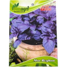 Sunagri Mor Reyhan Tohumu