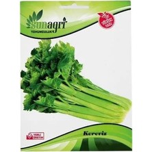 Sunagri Kereviz Tohumu