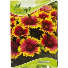 Sunagri Ay Yıldız Çiçek Tohumu – Dekoratif Ay Yıldız Çiçeği Tohumu