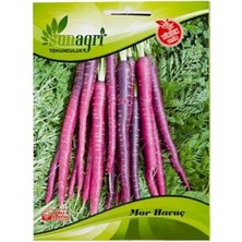 Sunagri Mor Havuç Tohumu - Şalgamlık ve Salatalık Doğal Renkli Havuç Tohumu