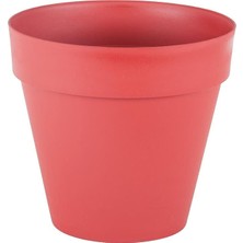 Serinova Yalı Separetörlü Saksı 3 Lt