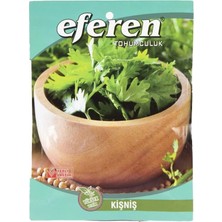 Sunagri Eferen Kişniş Tohumu – Taze ve Kuru Tüketime Uygun Kişniş Tohumu