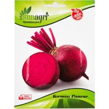 Sunagri Kırmızı Pancar Tohumu