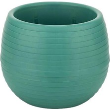 Serinova Elvan Kaktüs Saksısı 0.55 Lt