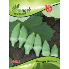 Sunagri Bamya Sultani Tohumu – Kılçıksız Yumuşak Sultani Bamya Tohumu