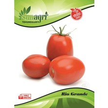 Sunagri Domates Rio Grande Sebze Tohumu