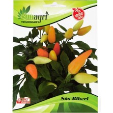 Sunagri Süs Biberi Tohumu