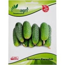 Sunagri Kornişon Turşuluk Salatalık Tohumu – Küçük Boy Çıtır Turşuluk Kornişon Tohumu