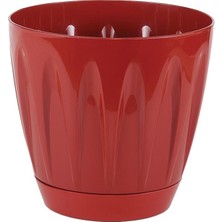 Serinova Papatya Tabaklı Saksı 3 Lt