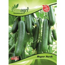 Sunagri Sırık Salatalık Tohumu
