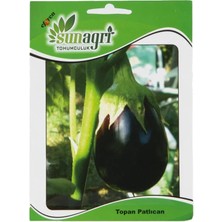 Sunagri Topan Patlıcan Tohumu - Dolmalık ve Kızartmalık Verimli Yerli Tohum