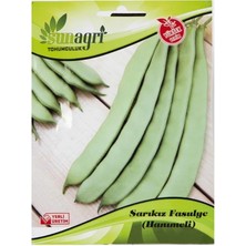 Sunagri Sarıkız Fasulye Tohumu – Geleneksel Sarıkız Taze Fasulye Tohumu