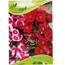 Sunagri Hüsnü Yusuf Çiçek Tohumu