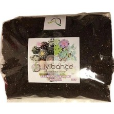 Iyibahçe Kaktüs - Succulent Toprak 2 Lt