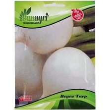 Sunagri Beyaz Turp Sebze Tohumu – Sofralık Çıtır Beyaz Turp Tohumu