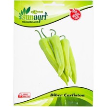 Sunagri Çarliston Biber Tohumu