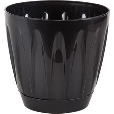 Serinova Papatya Tabaklı Saksı 1,5 Lt