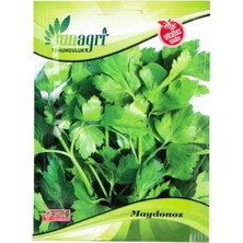 Sunagri Maydanoz Ege Sebze Tohumu