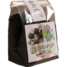 Iyibahçe Kaktüs - Succulent Toprak 0,5 Lt