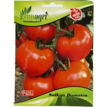 Sunagri Domates Salkım Tohum
