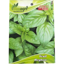 Sunagri Yeşil Reyhan Tohumu – Aromatik ve Taze Yeşil Reyhan Tohumu