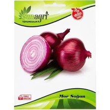 Sunagri Mor Soğan Tohumu