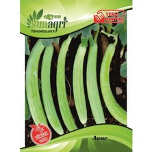 Sunagri Acur Tohumu – Çıtır Yerli Acur Tohumu