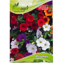 Sunagri Petunya Çiçek Tohumu – Karışık Renkli Sarkık Petunya Çiçek Tohumu