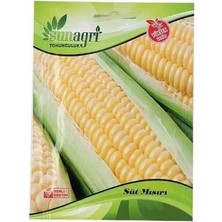 Sunagri Süt Mısır Tohum