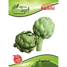 Sunagri Enginar Tohum – Büyük Başlı Bayrampaşa Tipi Enginar Tohumu