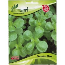 Sunagri Semiz Otu Tohumu