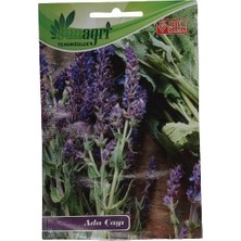 Sunagri Adaçayı Tohumu