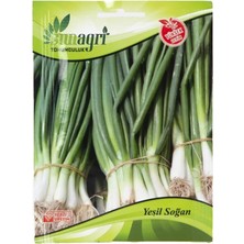 Sunagri Yeşil Soğan Tohumu