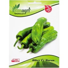 Sunagri Mazamort Üçburun Biber Tohumu