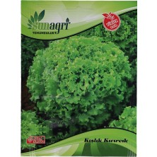 Sunagri Kışlık Kıvırcık Tohumu – Soğuk Hava Şartlarına Dayanıklı Verimli Marul Tohumu