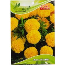 Sunagri Sarı Top Kadife Tohumu – İri Çiçekli Sarı Renk Kadife Çiçeği Tohumu
