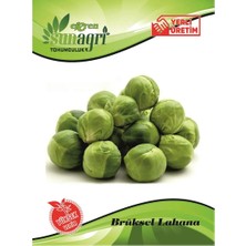 Sunagri Bürüksel Lahana Sebze Tohumu