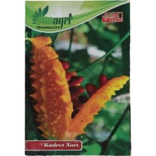 Sunagri Kudret Narı Tohumu – Yüksek Çimlenme Oranlı Doğal Kudret Narı Tohumları