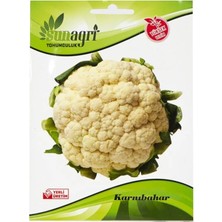 Sunagri Karnabahar Tohumu