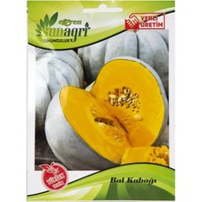 Sunagri Bal Kabağı Tohumu – İri Meyveli Tatlılık Oranı Yüksek Bal Kabağı Tohumu