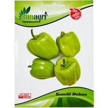 Sunagri Kandil Dolma Biber Tohumu